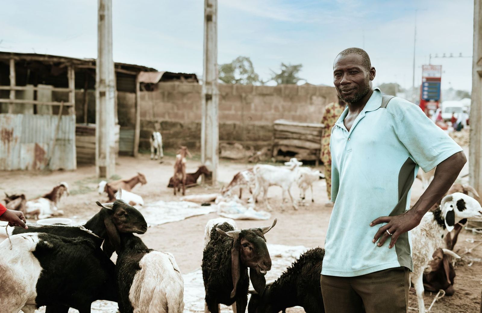 Éleveur devant son troupeau sur un marché à bétail en Afrique de l'Ouest